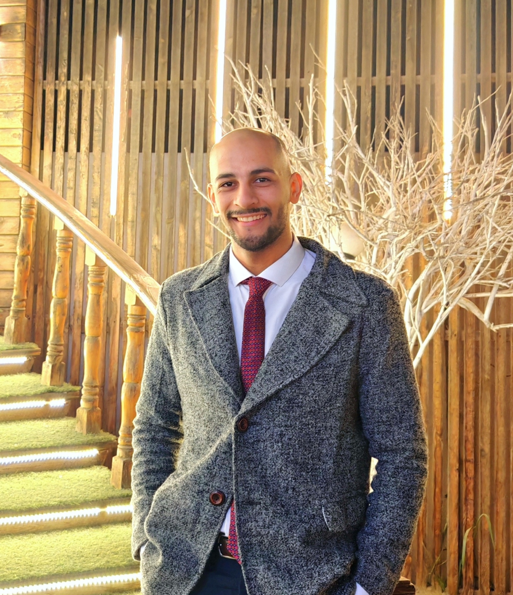 Mohamed Lasheen